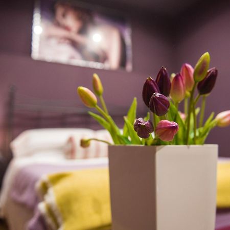 Residenza Lucio Alfio Bed & Breakfast Veroli Exterior foto